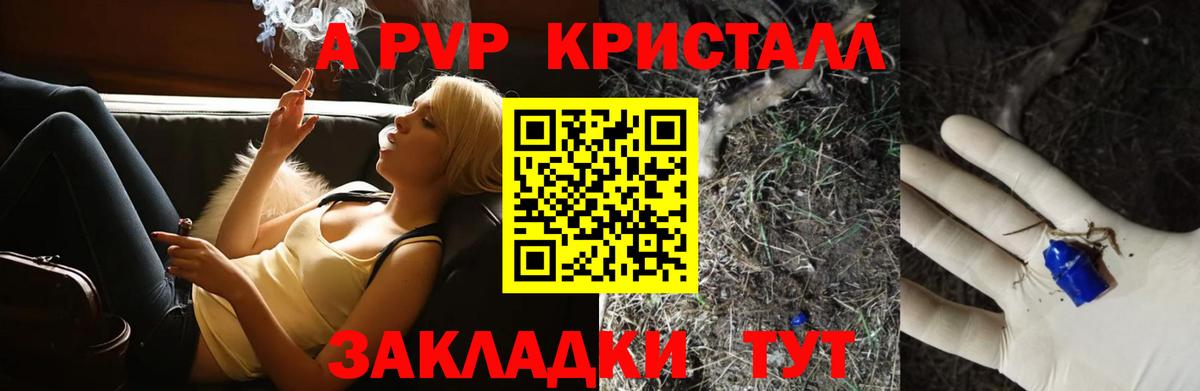 Alfa_PVP СК КРИС Кизилюрт