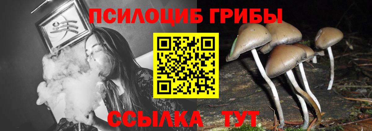 Псилоцибиновые грибы MAGIC MUSHROOMS  Галлюциногенные грибы MAGIC MUSHROOMS  Вход с VPN  Кизилюрт 